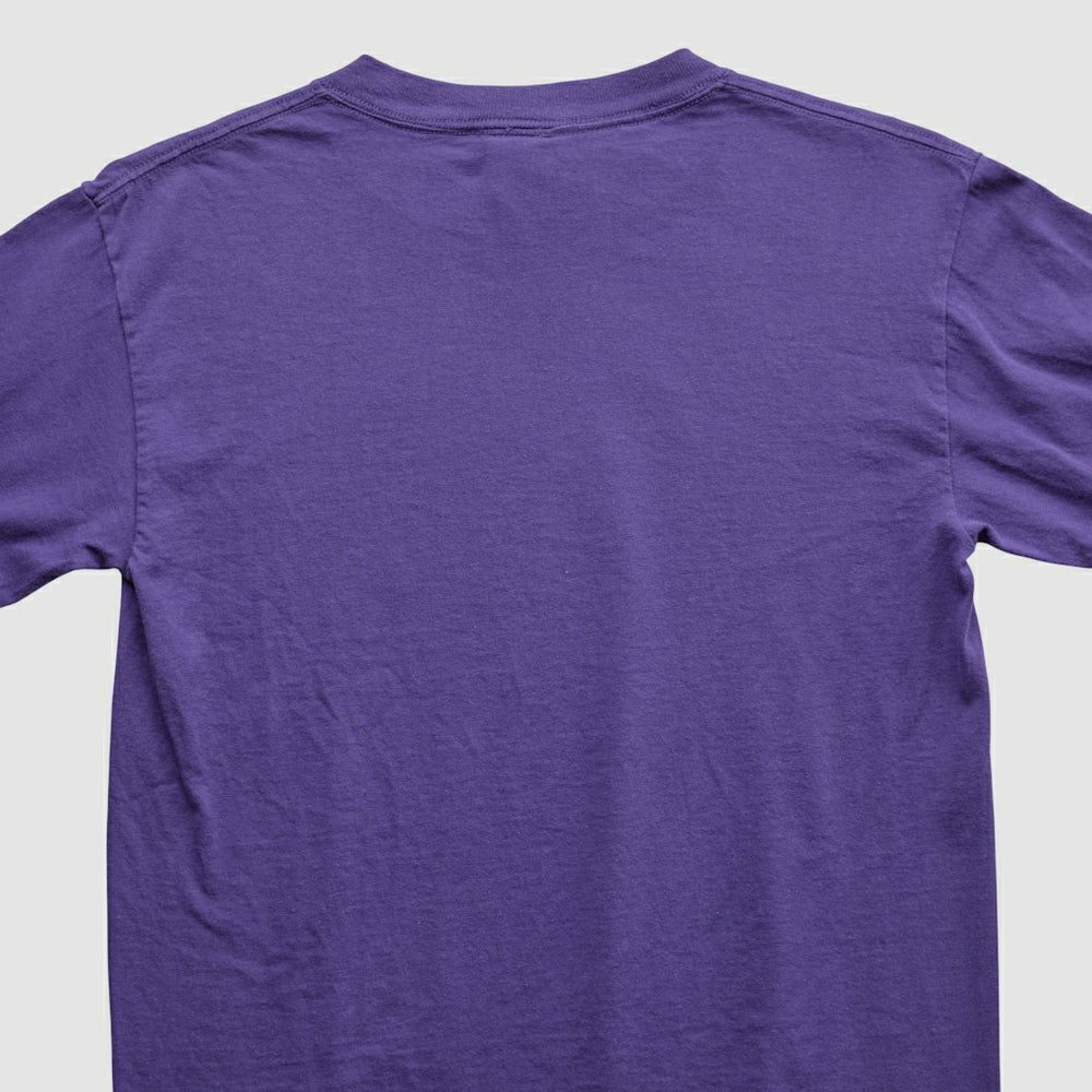 Fanatics Adrian Peterson NFL 2000s Long Sleeve T-shirt Purple Vintage