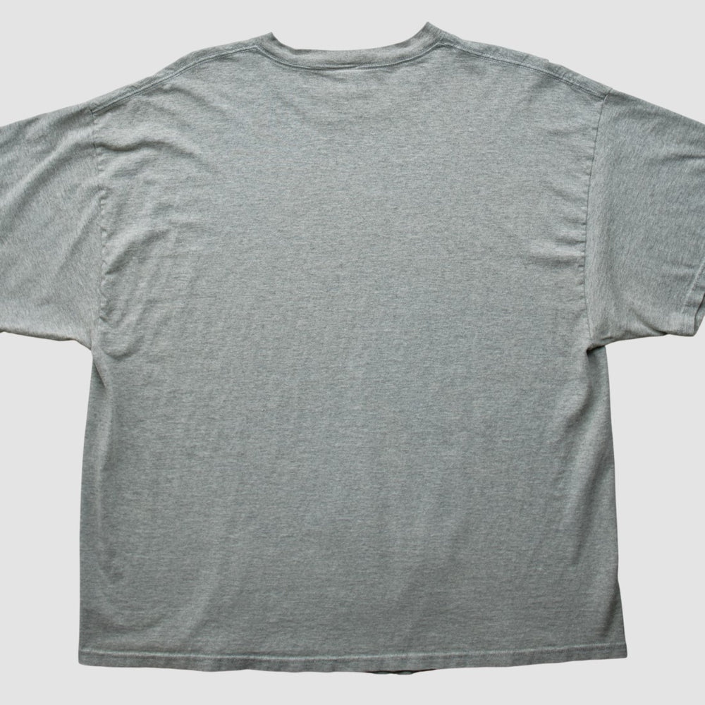 Fanatics Denver Broncos NFL 2000s T-shirt Heather Gray Vintage