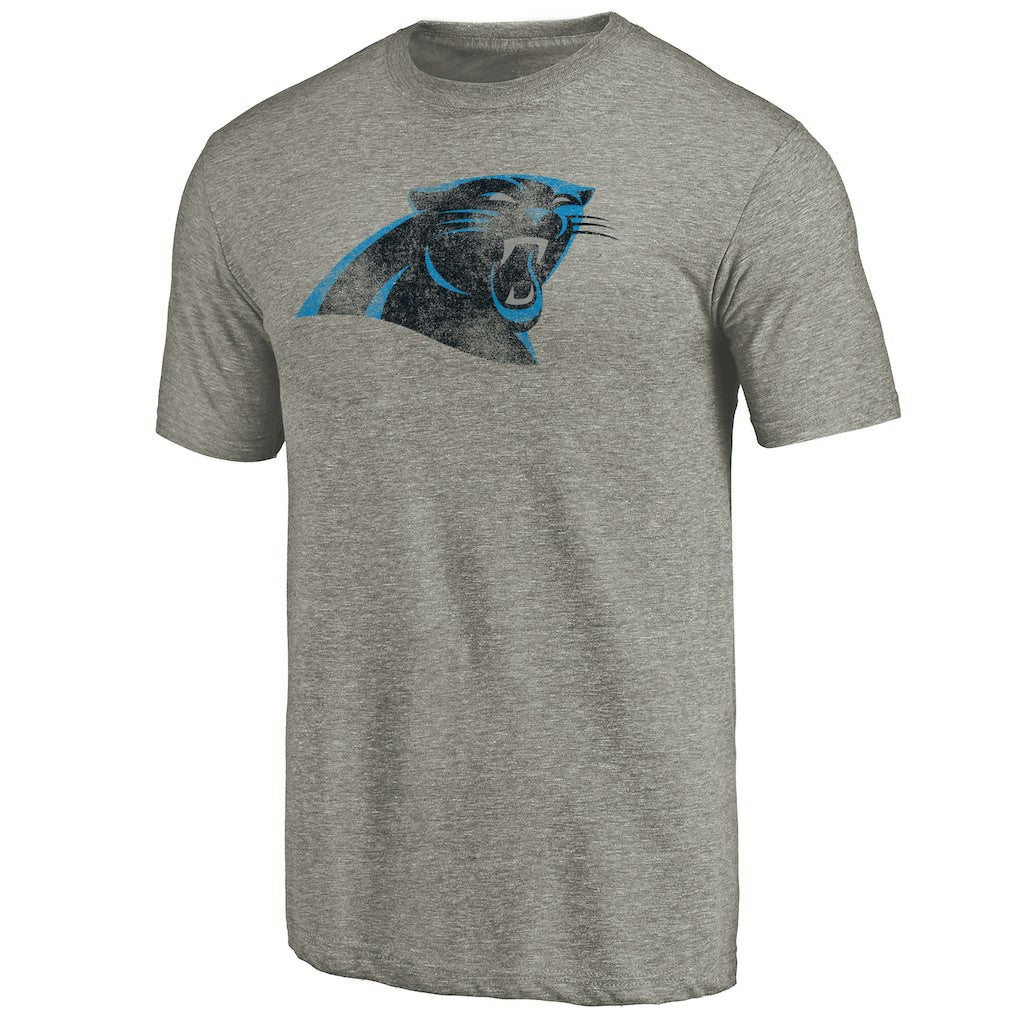 Carolina Panthers Distressed Team T-Shirt Ash
