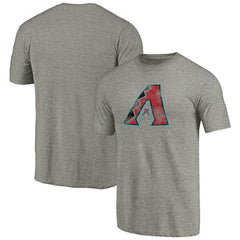 Arizona Diamondbacks Distressed Team Tri-Blend T-Shirt - Ash - MLB Online