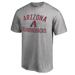 Arizona Diamondbacks Victory Arch T-Shirt - Ash - MLB on Sale