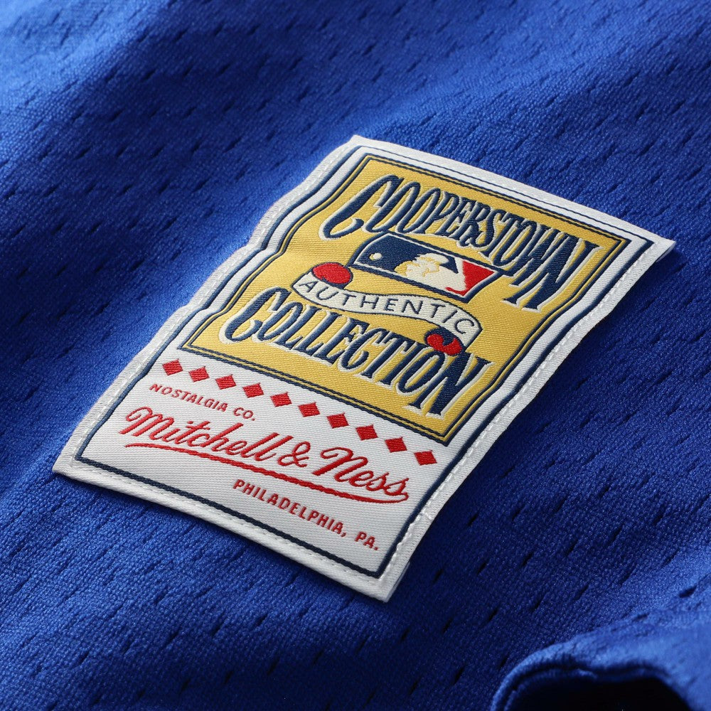 Mike Piazza Los Angeles Dodgers Mitchell & Ness Cooperstown Collection Mesh Batting Practice Button-Up Jersey - Royal - Mitchell & Ness on Sale