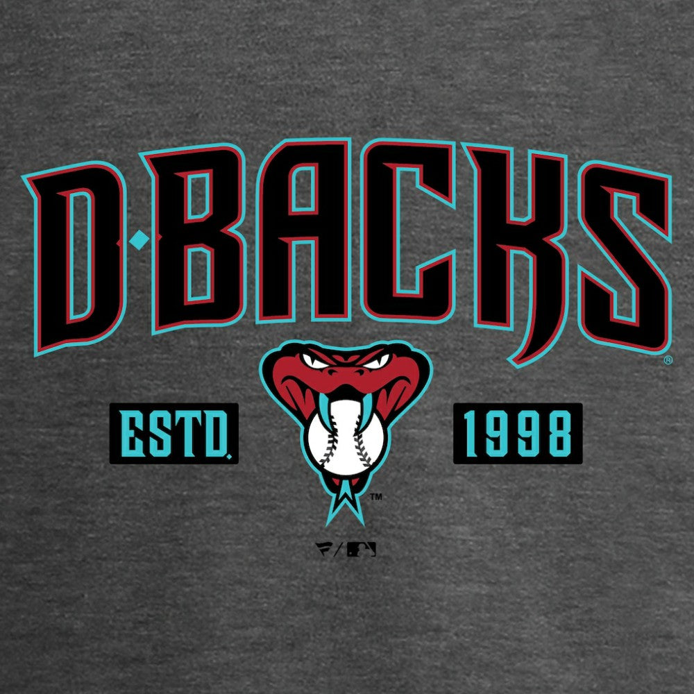 Arizona Diamondbacks Women's Hometown Collection Snakeskin V-Neck T-Shirt - Heathered Gray - MLB Discount