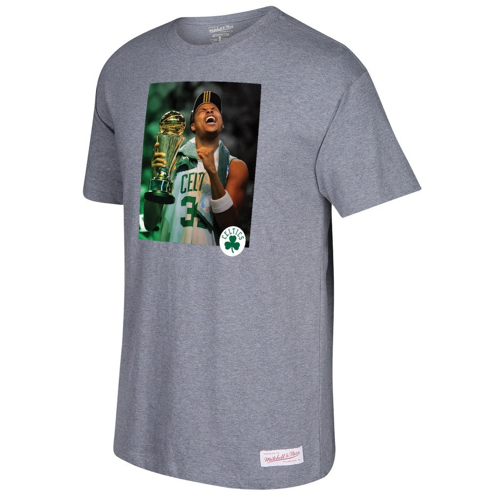 Paul Pierce Boston Celtics Graphic T-Shirt Gray | Mitchell & Ness online