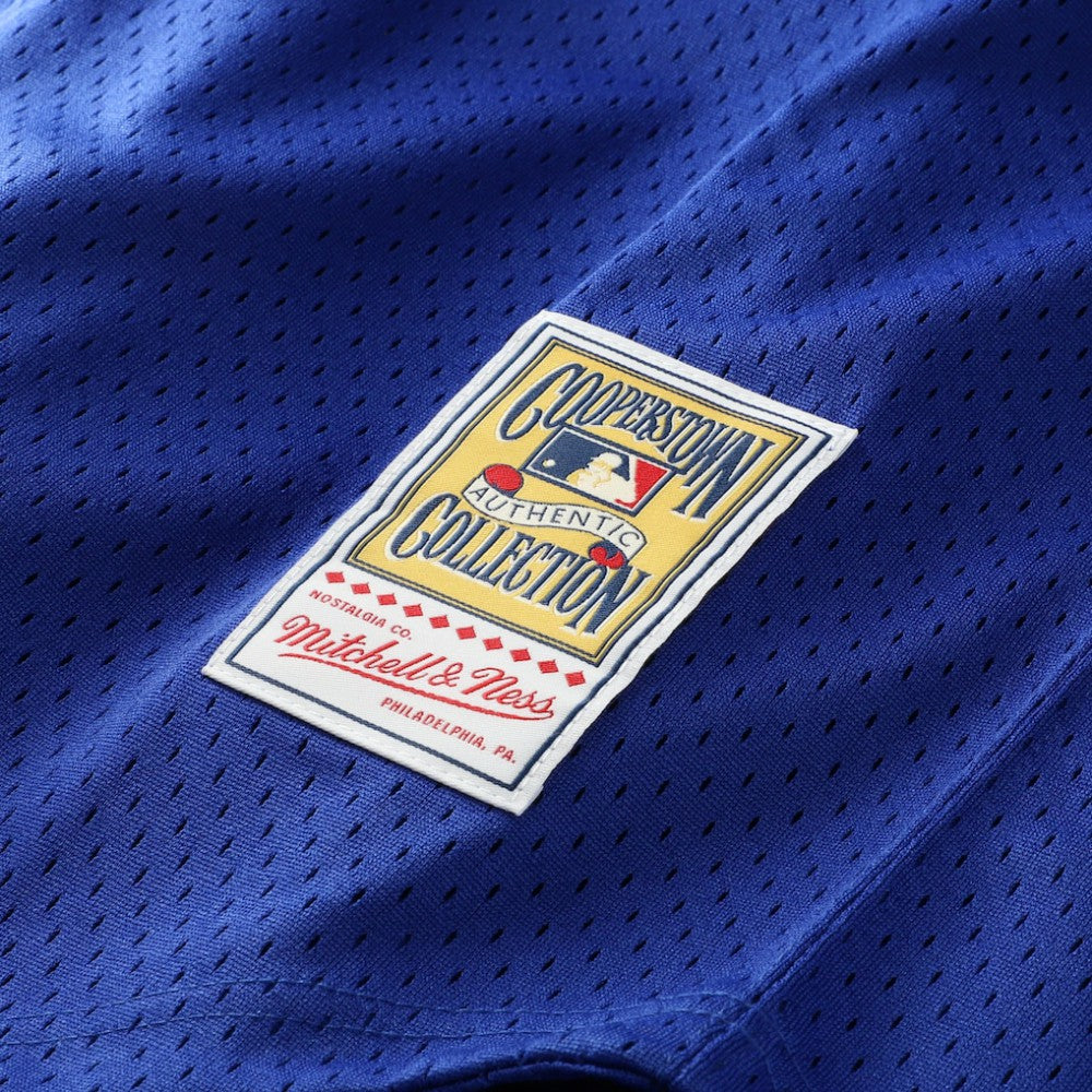 Bo Jackson Kansas City Royals Mitchell & Ness Cooperstown Collection Big & Tall Mesh Batting Practice Jersey - Royal - Mitchell & Ness Sale