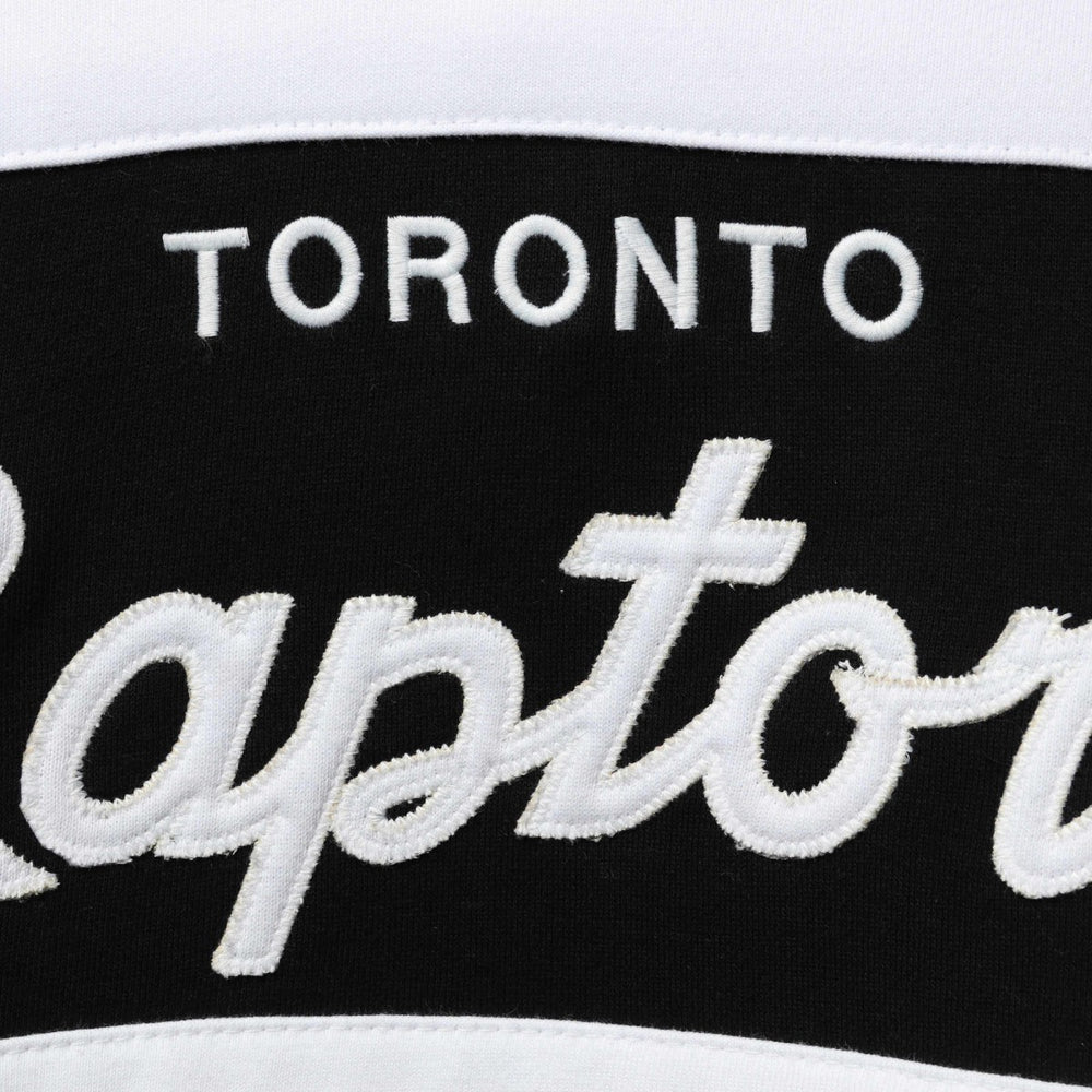 Toronto Raptors Head Coach Pullover Hoodie Purple/Black | Mitchell & Ness discount