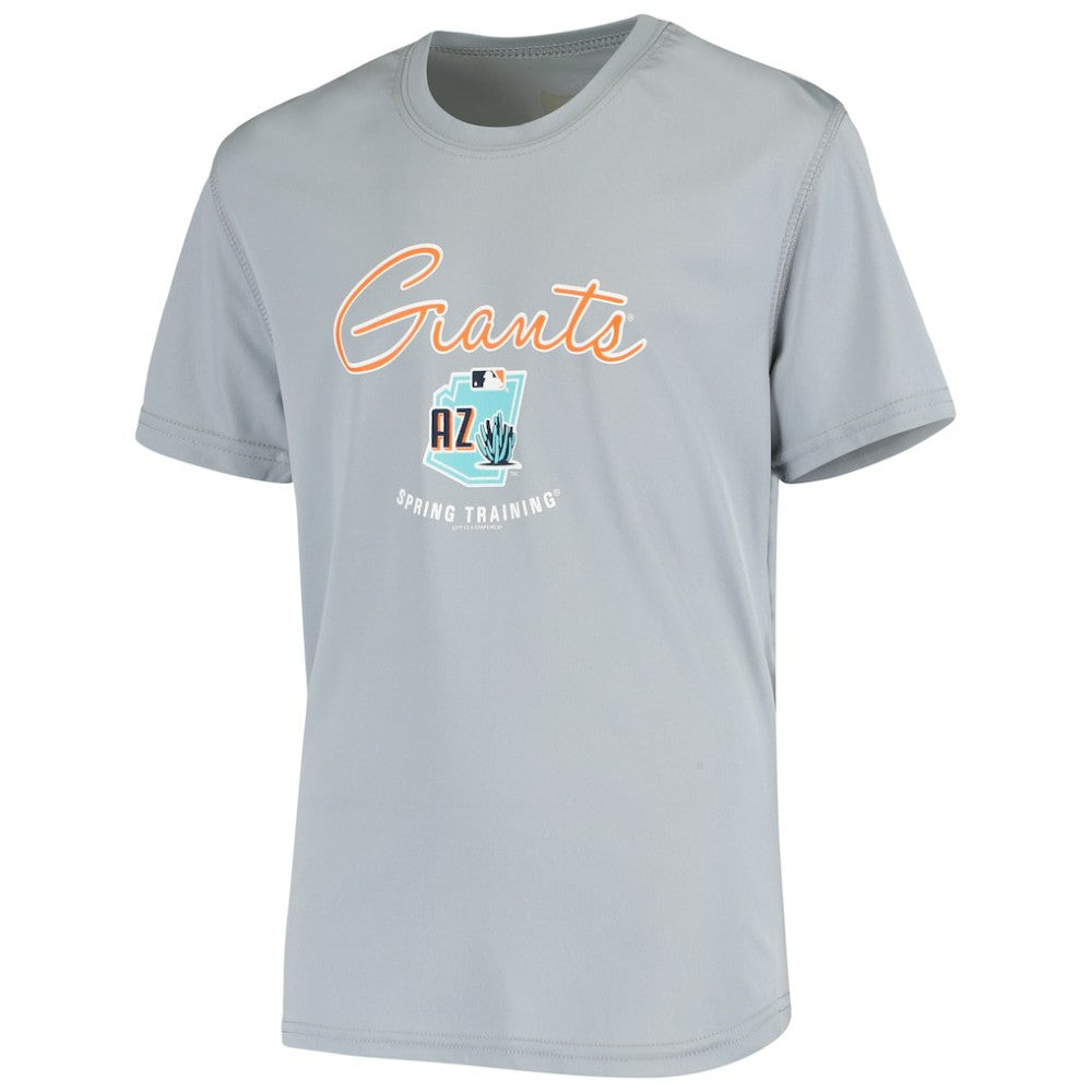 San Francisco Giants Youth Spring Training Script Logo T-Shirt - Gray - MLB on Sale