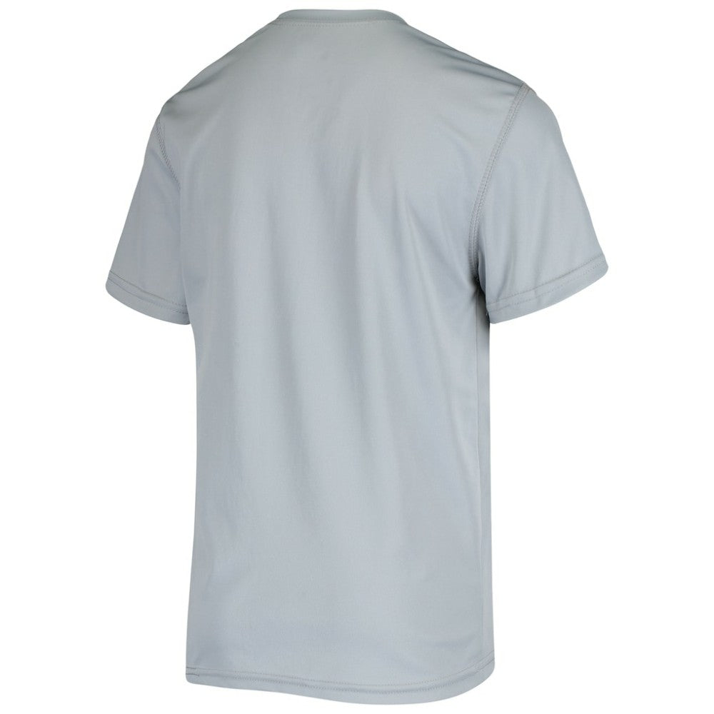San Francisco Giants Youth Spring Training Script Logo T-Shirt - Gray - MLB on Sale