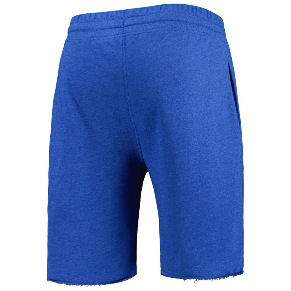 Chicago Cubs Concepts Sport Mainstream Terry Shorts - Heather Royal - MLB Sale