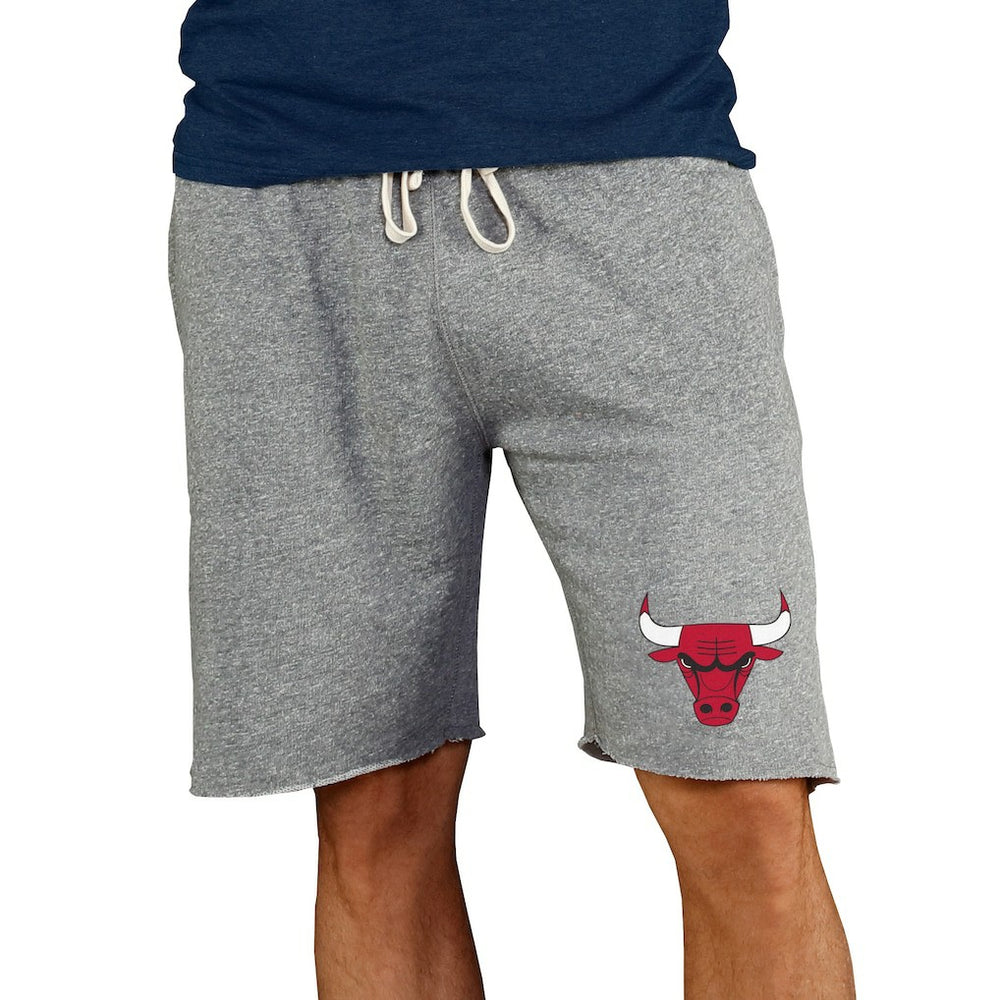 Chicago Bulls Concepts Sport Mainstream Terry Shorts Gray