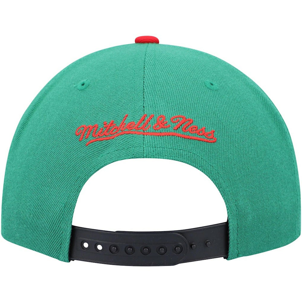 Chicago Bulls Day One Snapback Hat Black/Green | Mitchell & Ness online