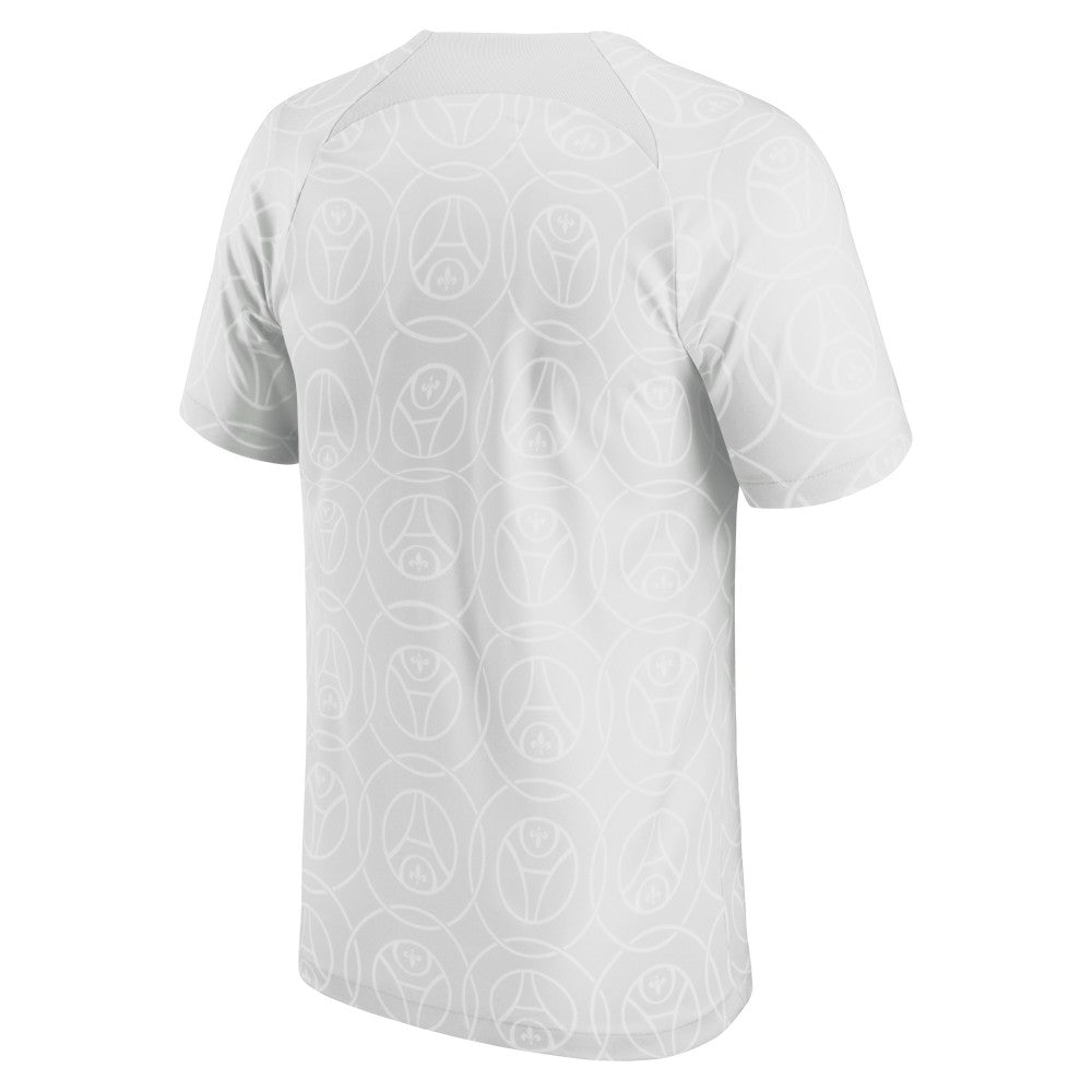 Paris Saint-Germain 2022/23 Pre-Match Top Gray - Nike