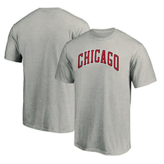Chicago Bulls Alternate Logo T-Shirt Heathered Gray