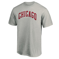 Chicago Bulls Alternate Logo T-Shirt Heathered Gray