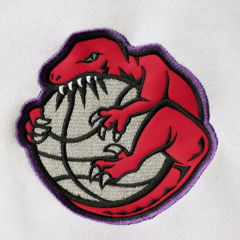 Toronto Raptors Hardwood Classics Fusion 2.0 Colorblock Pullover Hoodie Purple | Mitchell & Ness US