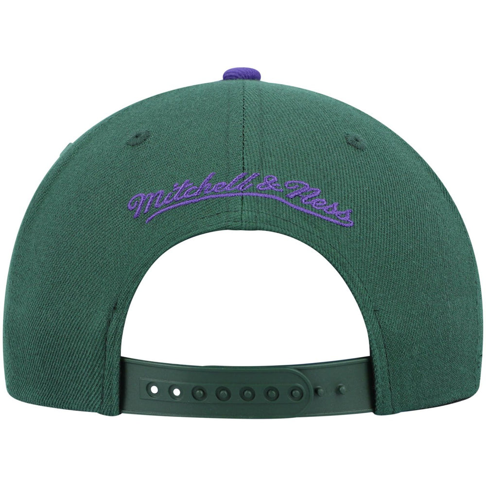 Milwaukee Bucks Hardwood Classics Team Two-Tone 2.0 Snapback Hat Green/Purple | Mitchell & Ness Lifestyle