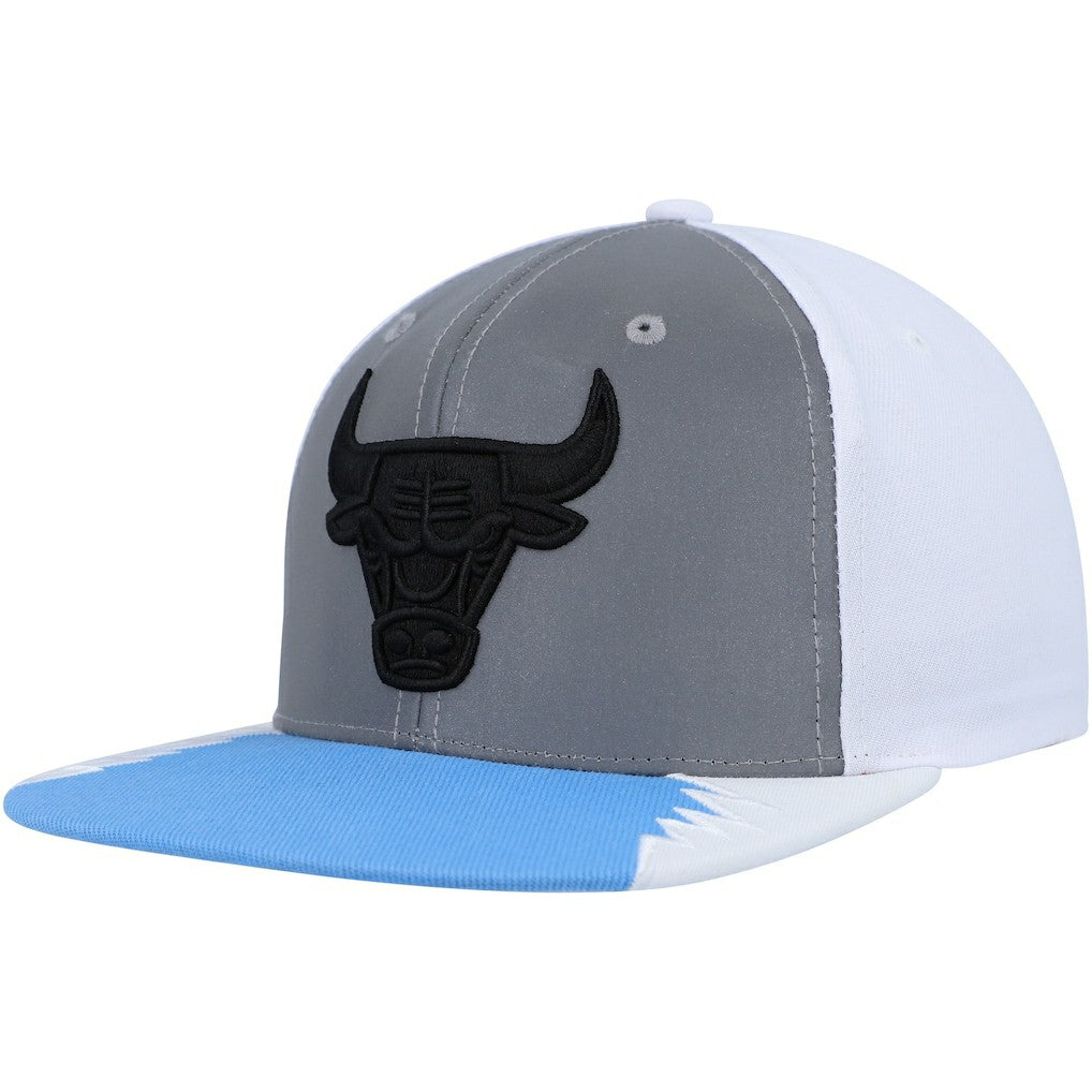 Chicago Bulls Day 5 Snapback Hat Silver/Blue | Mitchell & Ness for sale