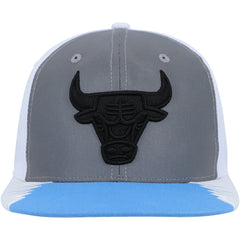 Chicago Bulls Day 5 Snapback Hat Silver/Blue | Mitchell & Ness for sale