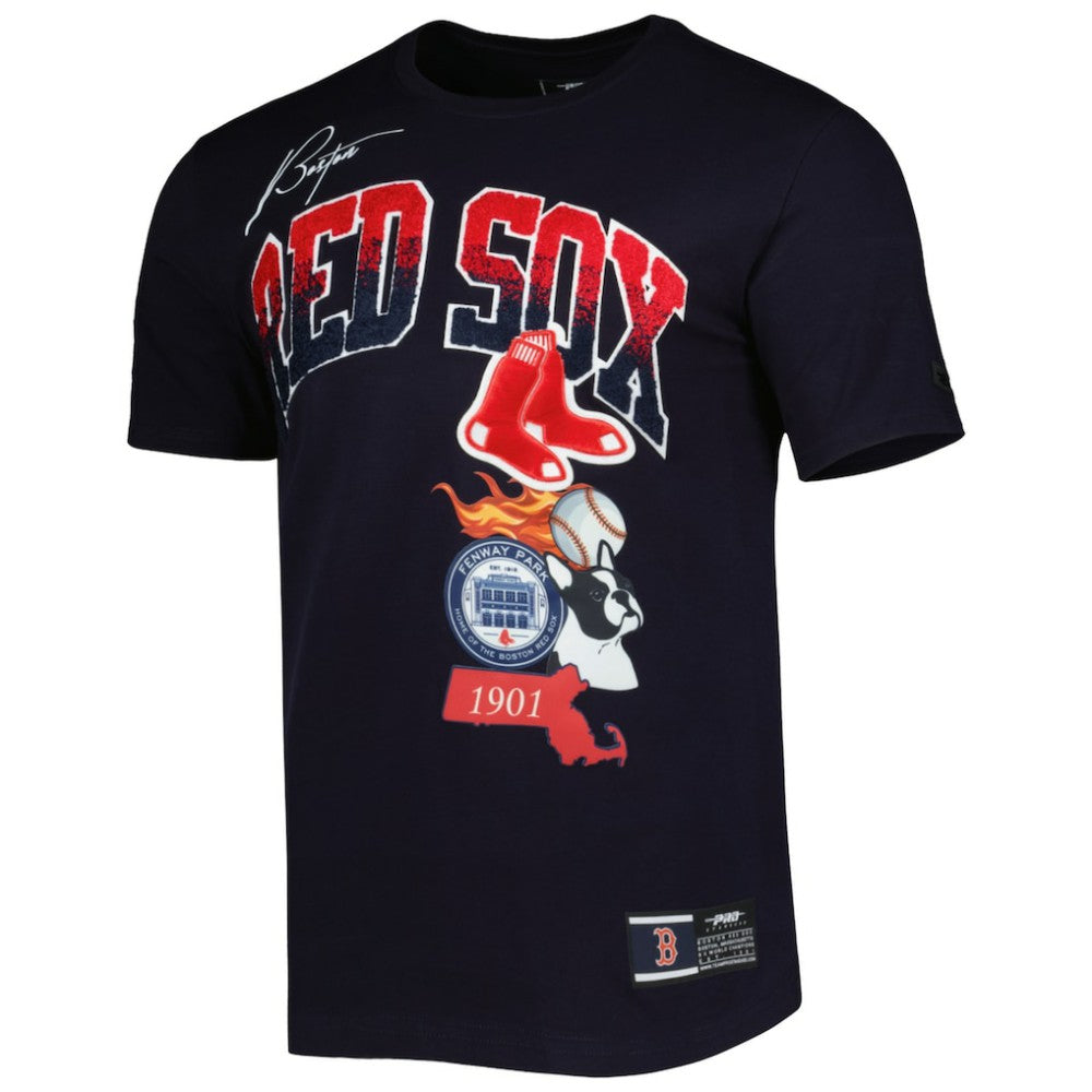 Boston Red Sox Pro Standard Hometown T-Shirt - Navy - MLB Online