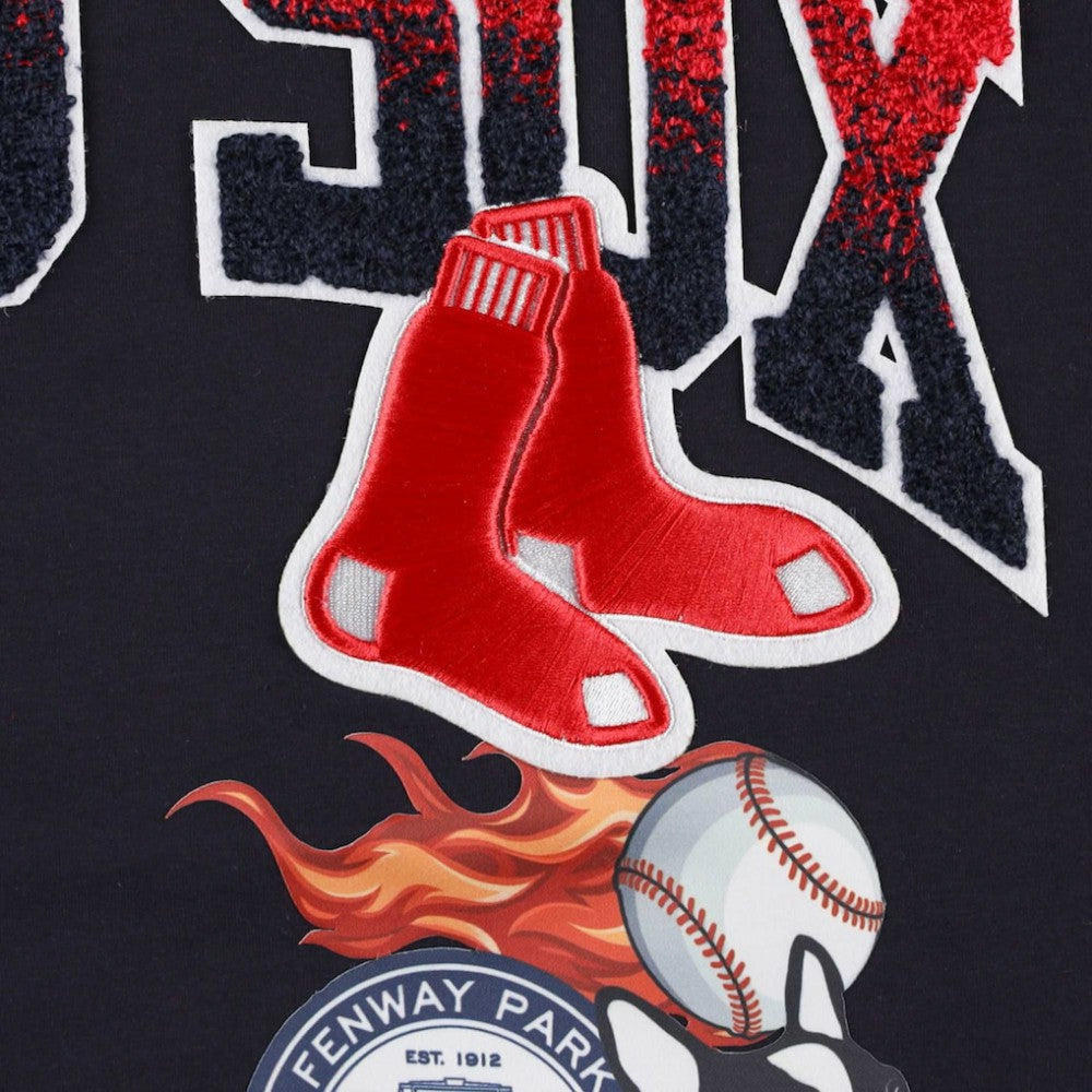 Boston Red Sox Pro Standard Hometown T-Shirt - Navy - MLB Online