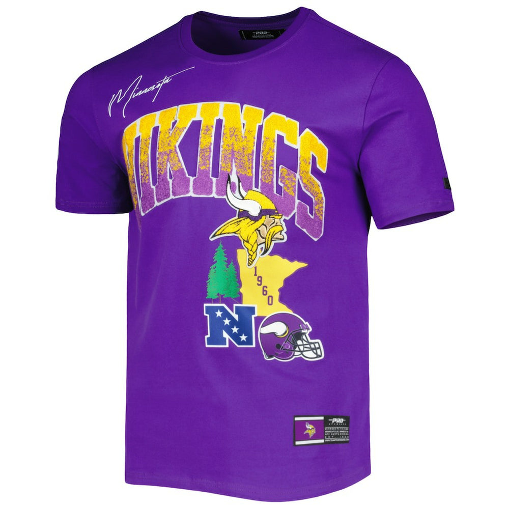 Minnesota Vikings Pro Standard Hometown Collection T-Shirt Purple