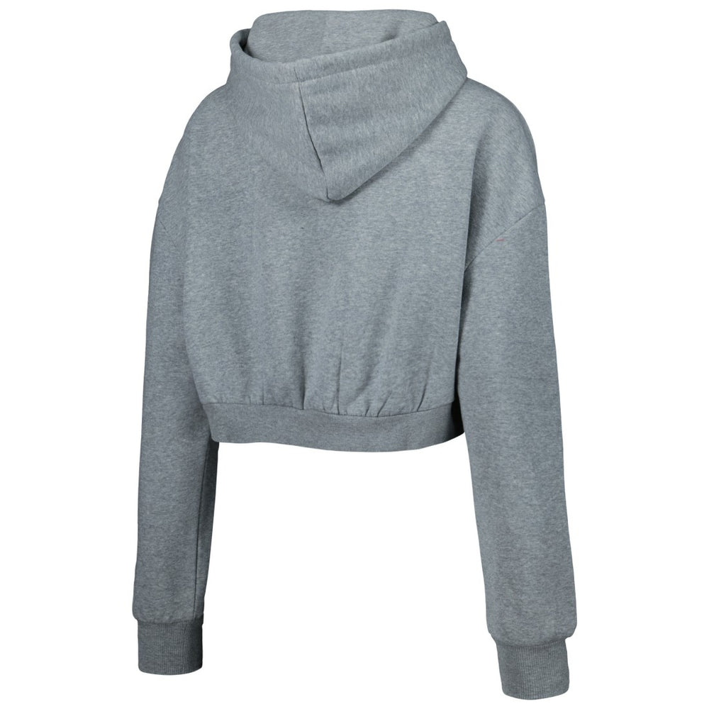 Tampa Bay Buccaneers The Wild Collective Women's Cropped Pullover Hoodie Gray