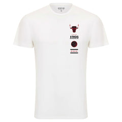Chicago Bulls Sportiqe Unisex 1966 Collection City Flag Bingham T-Shirt White