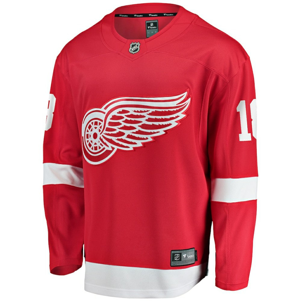 Andrew Copp Detroit Red Wings Fanatics Home Breakaway Player Jersey - Red - NHL 5010802