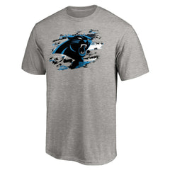 Carolina Panthers True Color T-Shirt Heather Gray