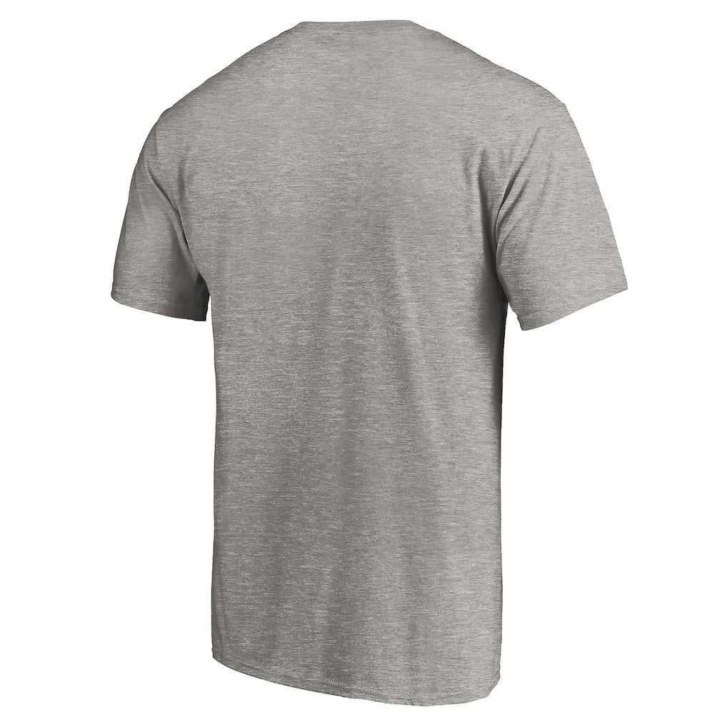 Minnesota Vikings True Color T-Shirt Heather Gray