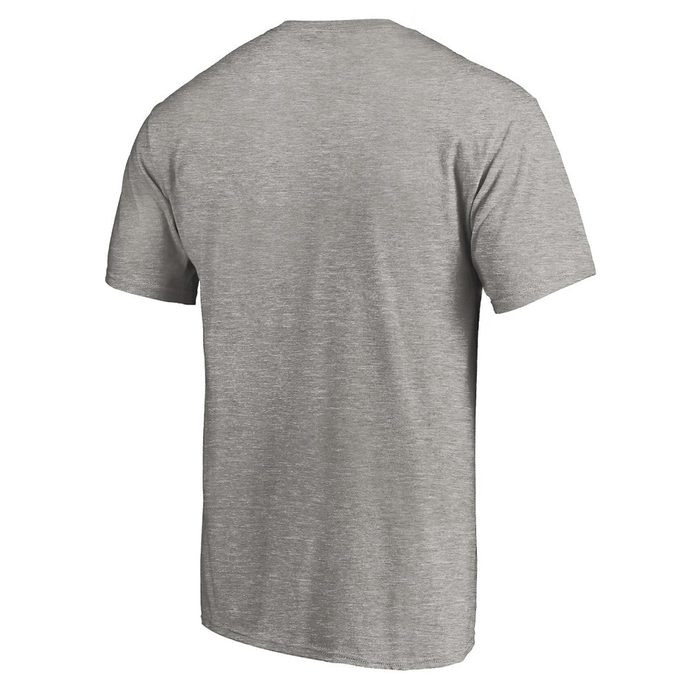 Tampa Bay Buccaneers True Color T-Shirt Heather Gray
