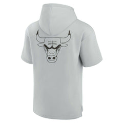 Chicago Bulls Unisex Elements Super Soft Fleece Short Sleeve Pullover Hoodie for sale Gray | Fanatics Near Me