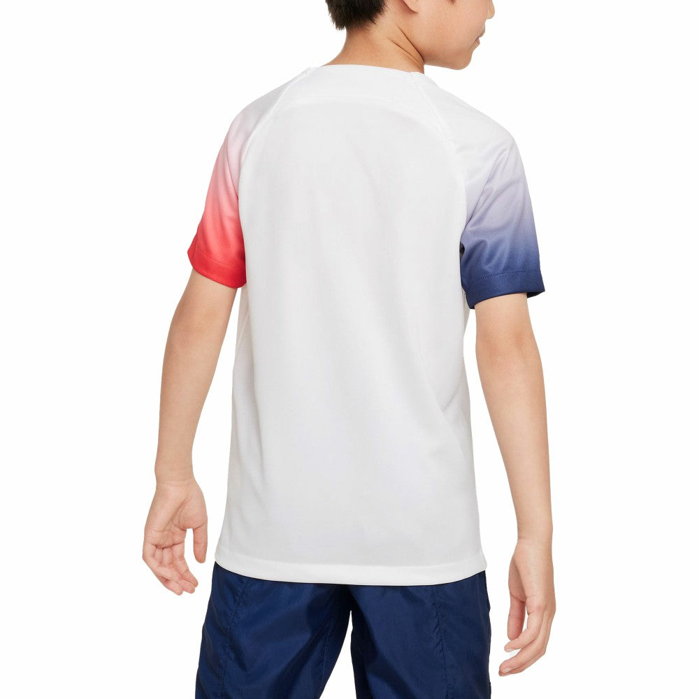 Paris Saint-Germain Youth 2023/24 Academy Pro Performance Pre-Match Top White - Nike