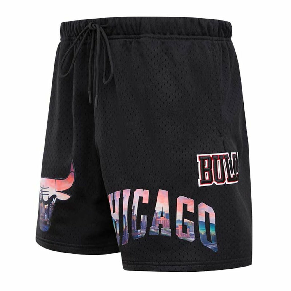 Chicago Bulls Pro Standard City Scape Mesh Shorts Black