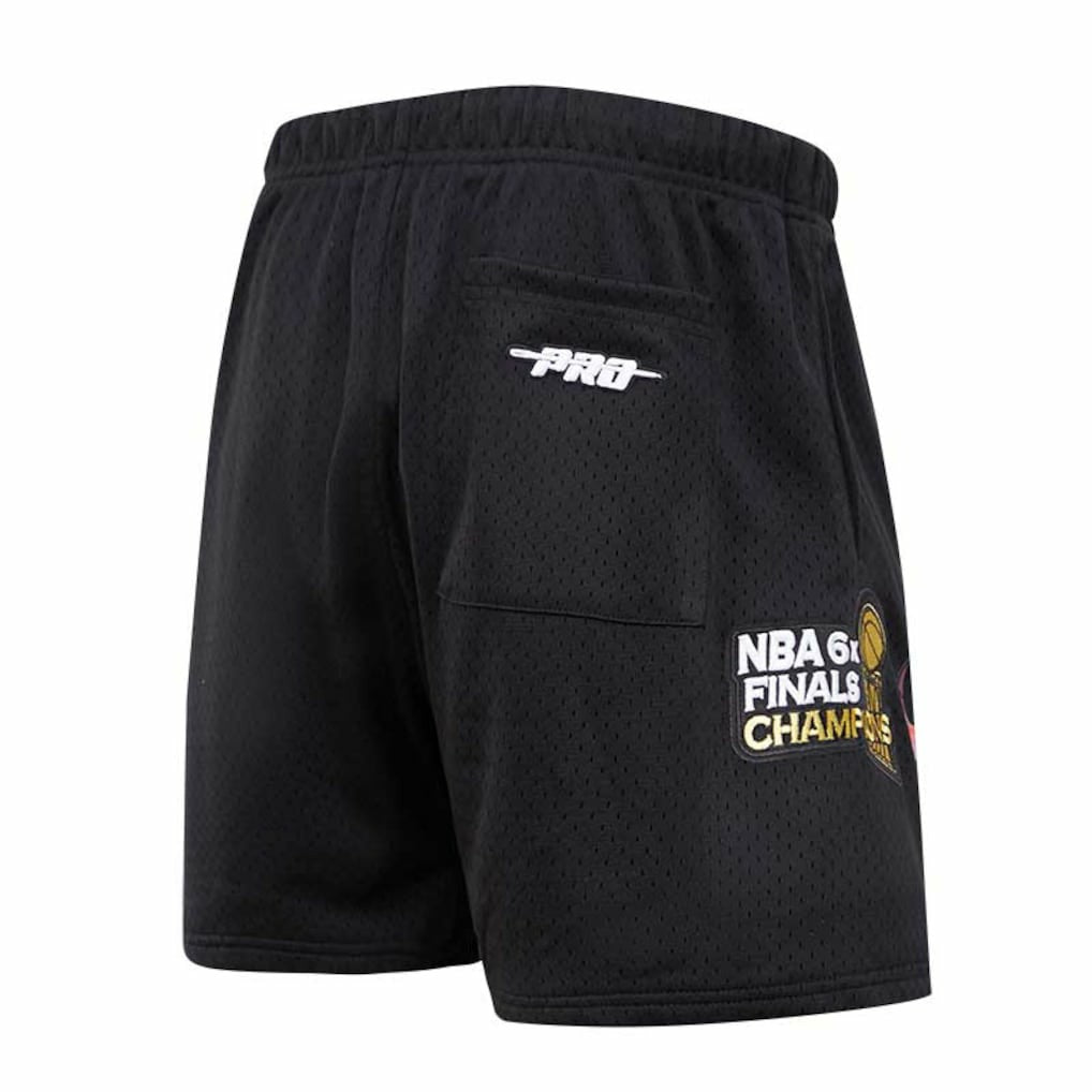 Chicago Bulls Pro Standard City Scape Mesh Shorts Black