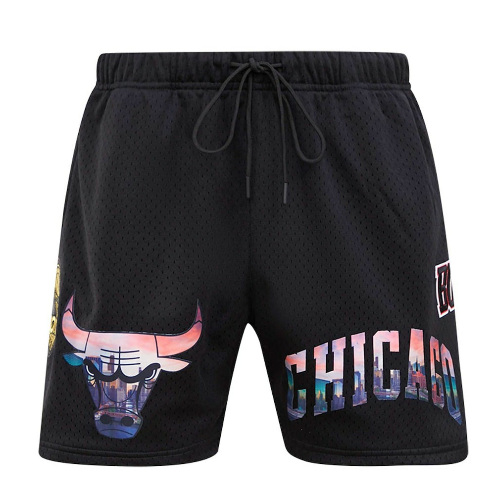 Chicago Bulls Pro Standard City Scape Mesh Shorts Black