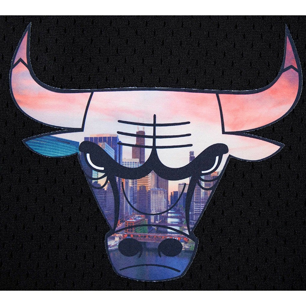 Chicago Bulls Pro Standard City Scape Mesh Shorts Black