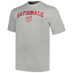 Washington Nationals Profile Big & Tall T-Shirt Combo Pack - Black/Heather Gray - MLB Sale