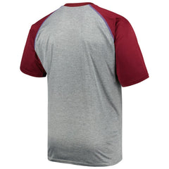 Colorado Avalanche Big & Tall Logo Raglan T-Shirt - Heather Gray - NHL 5281593