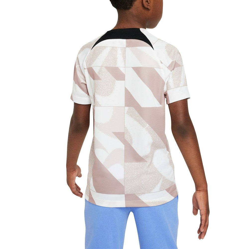Tottenham Hotspur Youth 2023/24 Academy Pro Performance Pre-Match Top White - Nike outlet