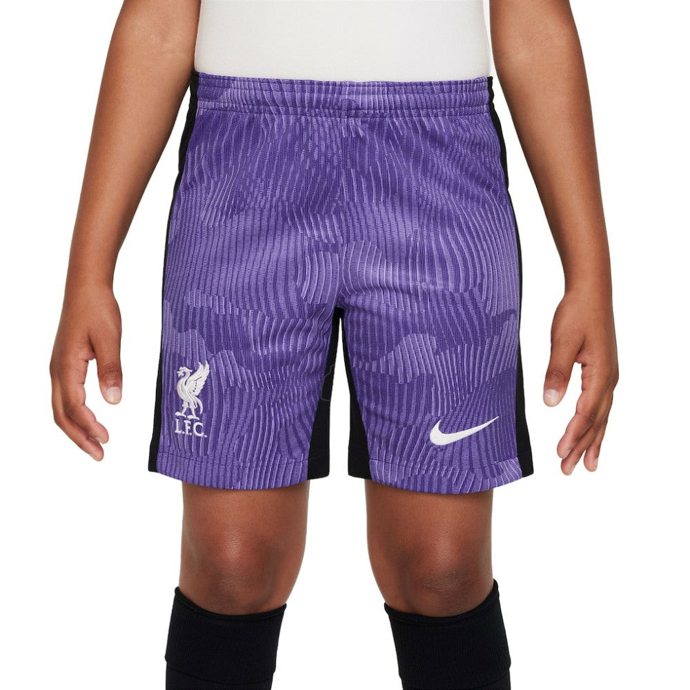 Liverpool Youth 2023/24 Third Stadium Performance Shorts Purple - Nike sale