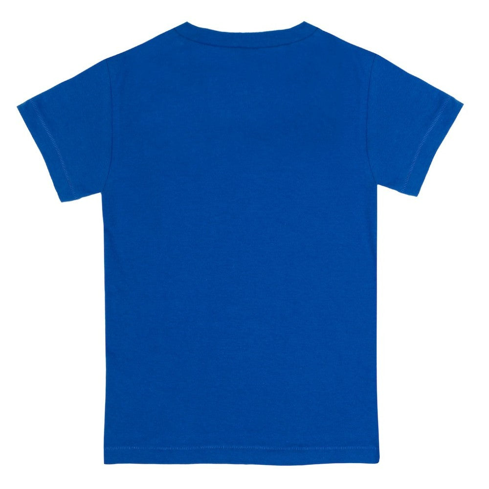 Chicago Cubs Tiny Turnip Youth Stega T-Shirt - Royal - MLB Online