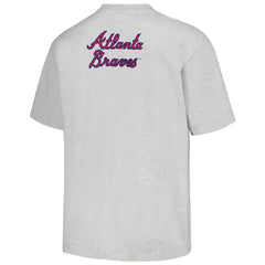 Atlanta Braves PLEASURES Mascot T-Shirt - Gray - MLB Discount