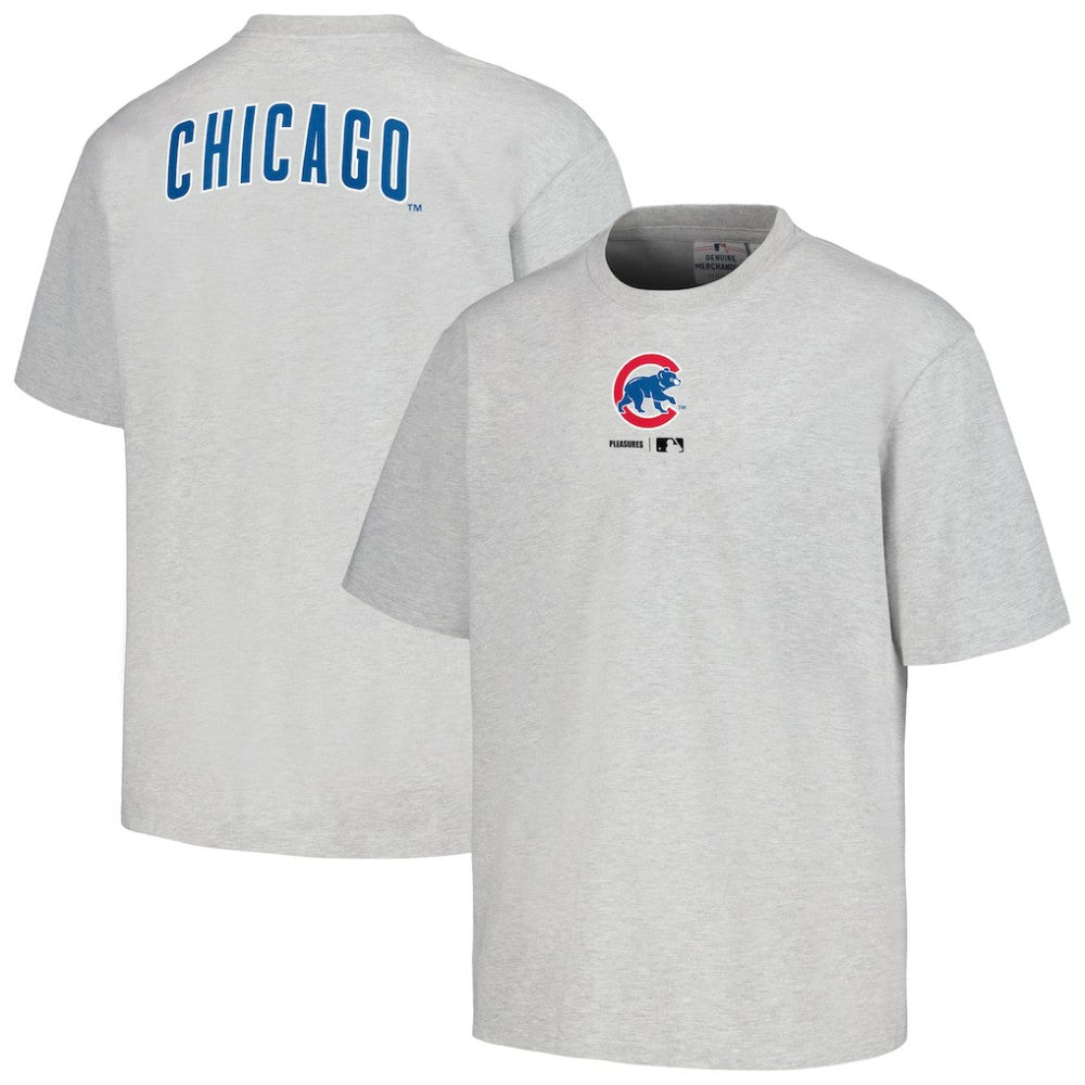Chicago Cubs PLEASURES Mascot T-Shirt - Gray - MLB Lifestyle