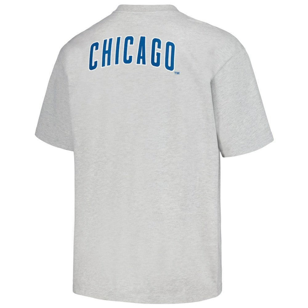 Chicago Cubs PLEASURES Mascot T-Shirt - Gray - MLB Lifestyle