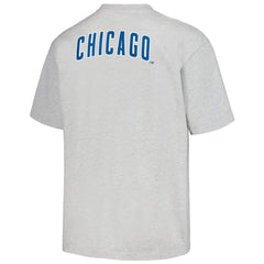 Chicago Cubs PLEASURES Mascot T-Shirt - Gray - MLB Lifestyle