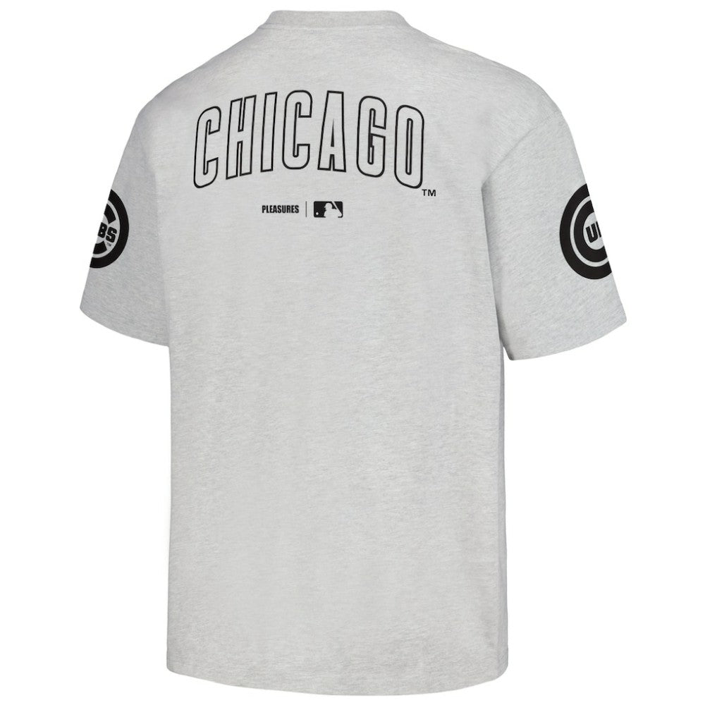 Chicago Cubs PLEASURES Team T-Shirt - Gray - MLB Discount