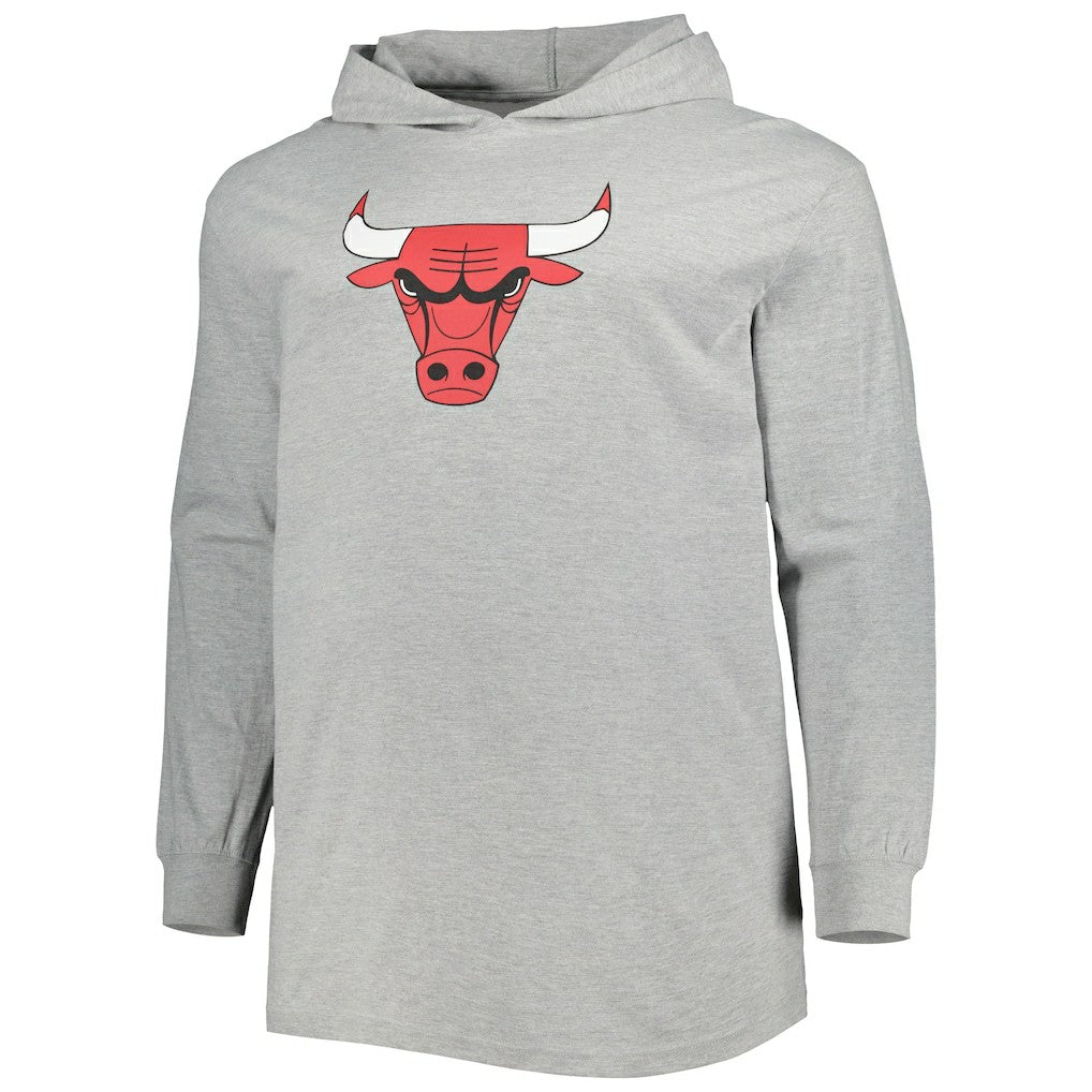 Chicago Bulls Big & Tall Pullover Hoodie Heather Gray | Fanatics online