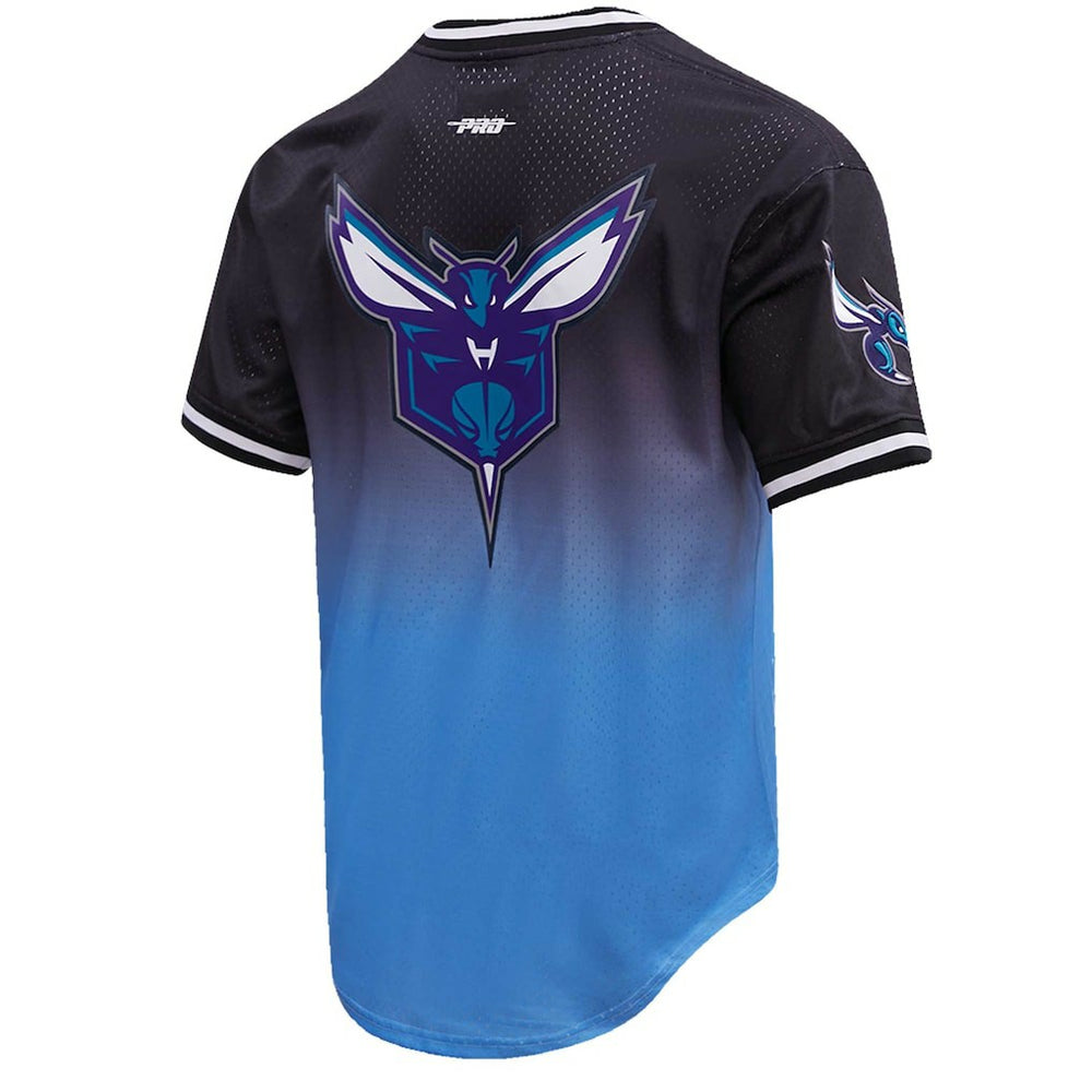LaMelo Ball Charlotte Hornets Post Ombre Name & Number T-Shirt Navy/Blue