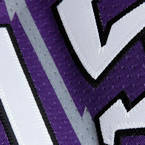 Vince Carter Toronto Raptors 1998/99 Throwback Authentic Jersey Purple | Mitchell & Ness outlet